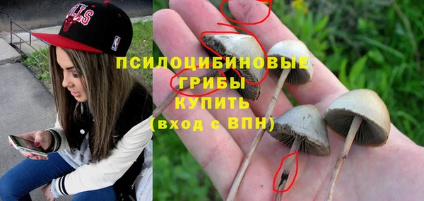 бошки Киреевск