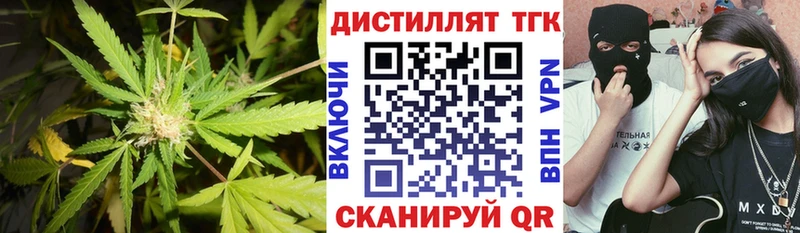 Купить  Нарьян-Мар  ТГК концентрат 