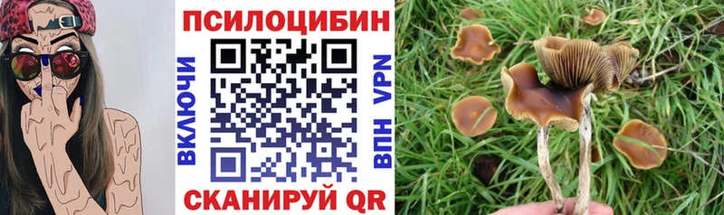 Купить закладки  Нарьян-Мар  Псилоцибиновые грибы Psilocybe 